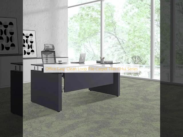 Office Easy-Clean Loop Pile Carpet Tiles CHui Series