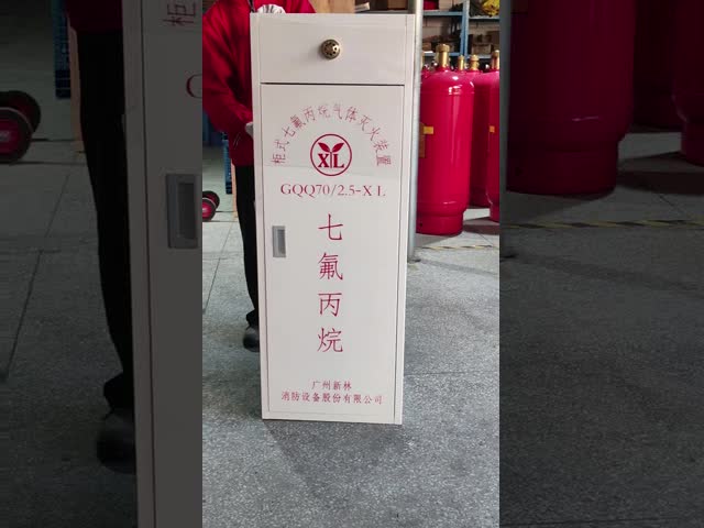 FM200 Cabinet Fire Suppression Advanced Protection For Data Centers And More