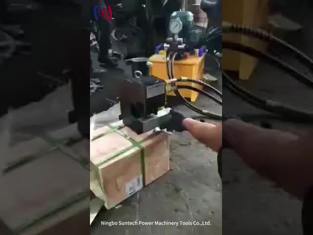 Portable Hydraulic Punching Kit With Interchangeable Die Sets