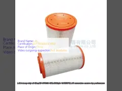 Machines industrielles pièces détachées de voiture filtre à air OE 4178134 SKL46980 pour excavateur CATERPILLAR video