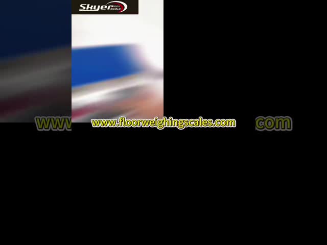 30kg high-quality electronic waterproof scale D11