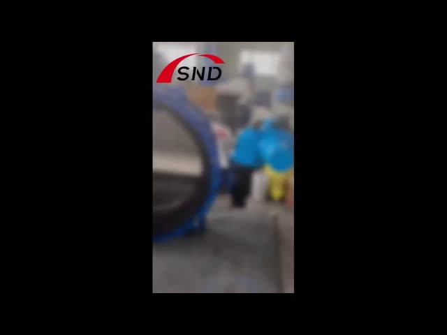 Metal Sealed Large Diameter Butterfly Valve 150LB 300LB 600LB Pressure Rating