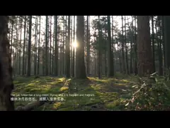 China Multiple Colors Decorative Laminate Paper Printed Decorative Paper For Impregnating And Wood Based Board supplier