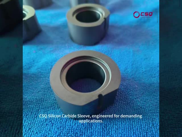 Customized Silicon Carbide Sliding Bearing for Gear Pumps