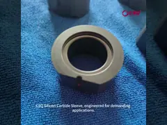 Customized Silicon Carbide Sliding Bearing for Gear Pumps