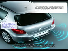 China Spanish Market Supported Blind Spot Mirror With Multiple Language Options supplier