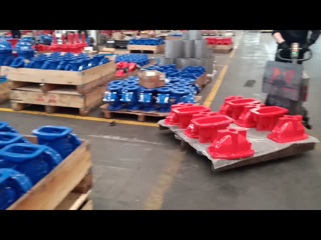 DN80 Stainless Steel Flange Gate Valve CF8/CF8m for Water Treatment