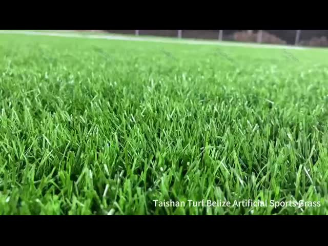 Taishan new project Belize Artiifical Sports turf