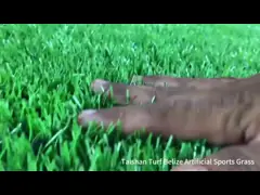 China 5/8  Guage Football Artificial Turf Low Maintenance Taishan Brand One-Stop Solution For Your Choices And Requirements supplier