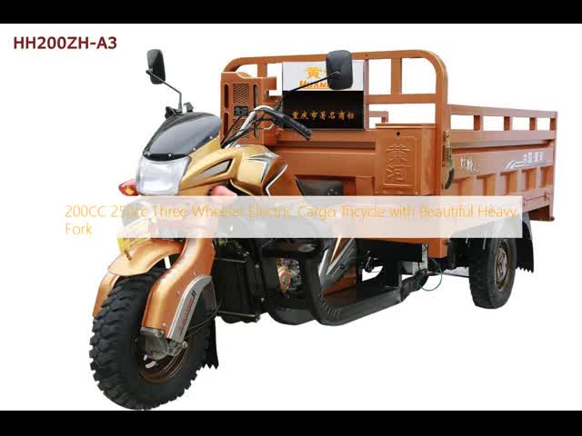 200CC 250cc Three Wheeler Electric Cargo Tricycle with Beautiful Heavy Fork