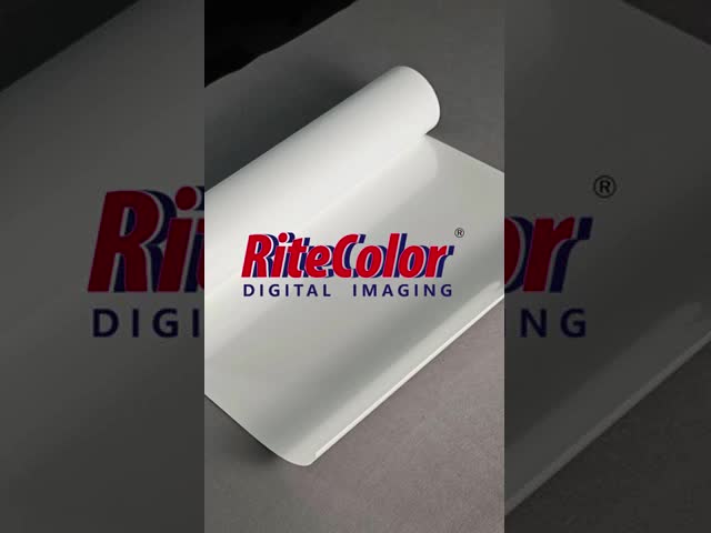Self adhesive Glossy PP Paper