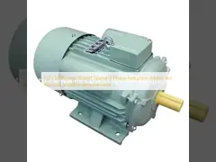 750-3000r/min Rated Speed 3 Phase Induction Motor for Altitude ≤1000m Requirement