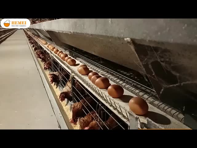 “H” Type Layer Chicken Cage Equipment