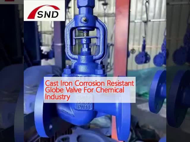 Cast Iron Corrosion Resistant Globe Valve For Chemical Industry