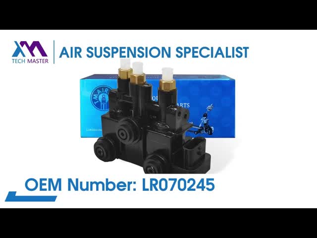 Standard Air Suspension Compressor Kit / Air Suspension Pump Valve for Audi A8 OEM 4H0616013