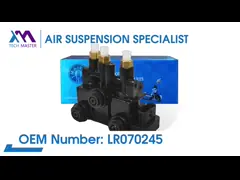 Standard Air Suspension Compressor Kit / Air Suspension Pump Valve for Audi A8 OEM 4H0616013