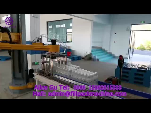 2084 P6 Pillar-Type Servo Palletizer