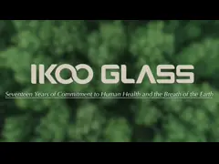 China Multifunction Borosilicate Glass Salad Bowl supplier