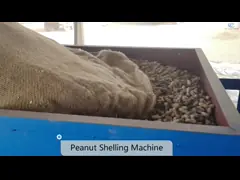 China Automatic Temperature Control Peanut Fryer French Fries Fryer Food Frying Machine supplier