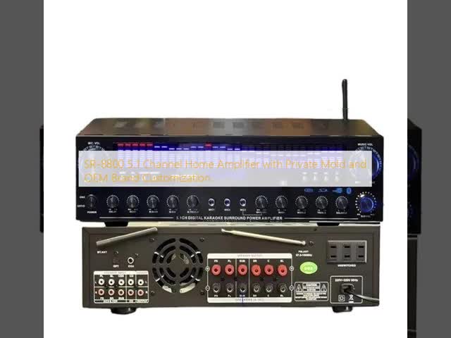 SR-8800 5.1 Channel Home Amplifier with Private Mold and OEM Brand Customization