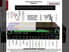 SR-8800 5.1 Channel Home Amplifier with Private Mold and OEM Brand Customization