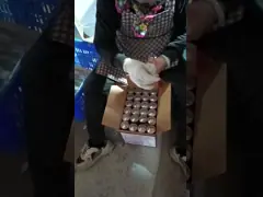 Construction-grade Epoxy Adhesive For Reinforcing Steel Bars In Concrete