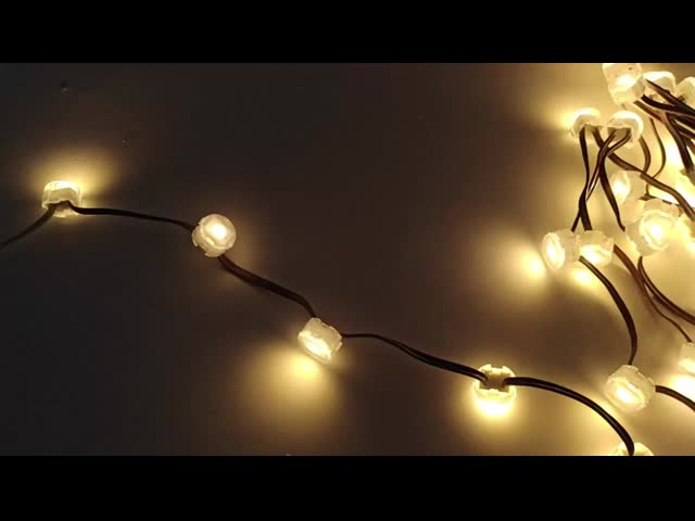 Customizable RGB 20mm LED Point Light for Outdoor Decoration with IP67 Waterproof Rating
