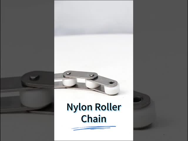 C2062SS Stainless Steel Double Pitch Conveyor Chain With Nylon Rollers 38.1mm Pitch 22.23mm Roller Diameter