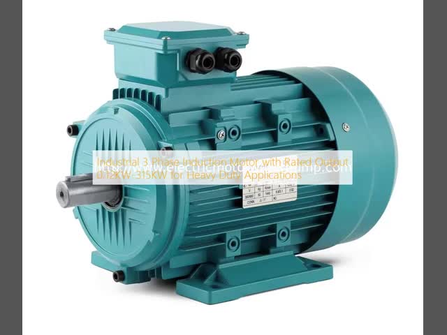 Industrial 3 Phase Induction Motor with Rated Output 0.12KW-315KW for Heavy Duty Applications