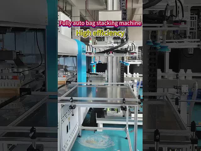 Highly Versatile Design Bottle Palletizer Machine Auto Linear Stacking 2000-2500mm Height
