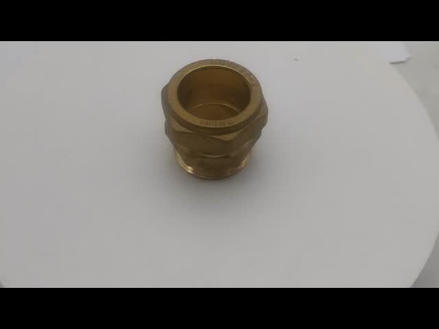 Female Threaded Pipe Equal Straight HPb 57-3 Brass Hose Fittings