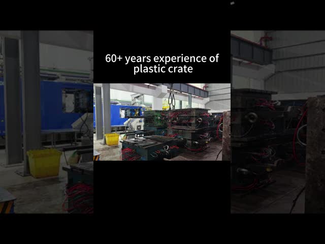 Euro Pallet Plastic Stackable Heavy Duty Warehouse Logistics Cheap 1200×1000mm Plastic Pallet