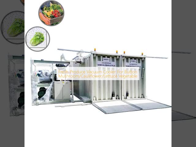 Fresh Produce Vacuum Cooler For Button Mushroom/Cauliflower/Lettuce Vegetable