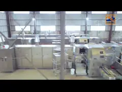 Customized Sugar Cone Producing Equipment Featuring Video Technical Support To Support High Volume Production And Control