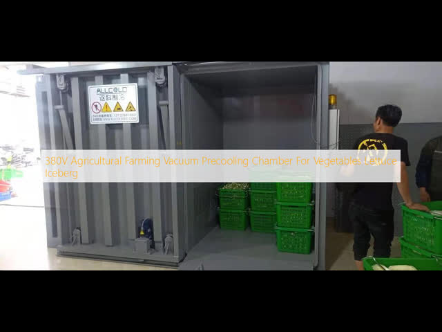 380V Agricultural Farming Vacuum Precooling Chamber For Vegetables Lettuce Iceberg