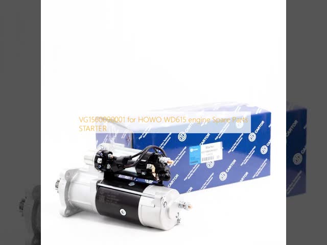 VG1560090001 pour le moteur HOWO WD615 vidéo
