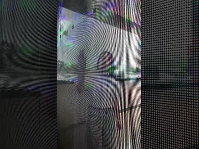 SculptStone Holographic Invisible Screen Ultralam Series P2.5/P3.9/P6 Flexible & Cuttable