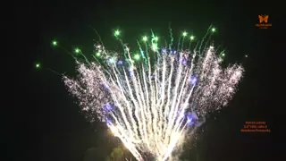 China Chinese High Quality Fireworks Pyrotechnics Liuyang 100 Shots Consumer Cake Fireworks 1.4G Pro Fire Crackers Cake Firework supplier