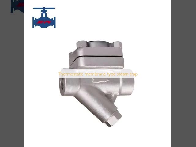 Thermostatic Membrane Steam Trap with Stainless Steel Construction Zero Leakage and High Back Pressure Rate