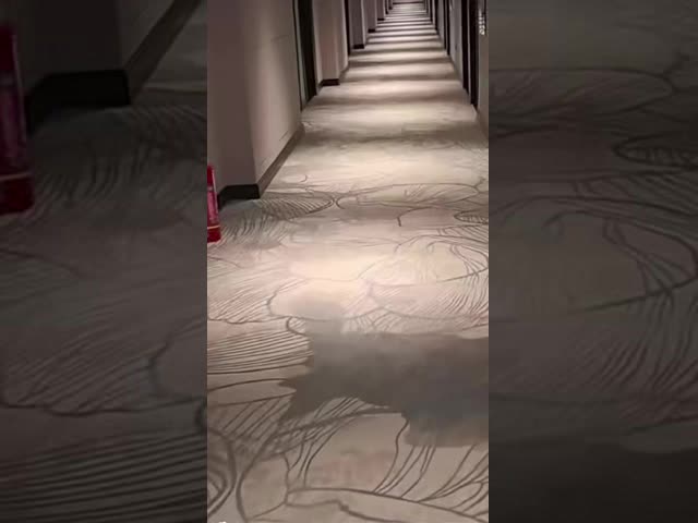 Commercial Polyester Tufted Four Seasons Carpet For Hotels Lobby Lounge Decoration