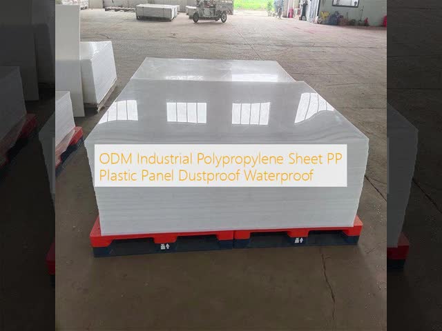 ODM Industrial Polypropylene Sheet PP Plastic Panel Dustproof Waterproof