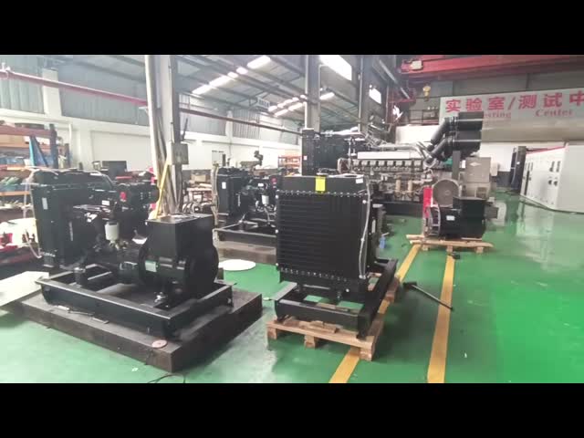 600kw Natural Gas Powered Generators 750kva Biomass Electric Generator