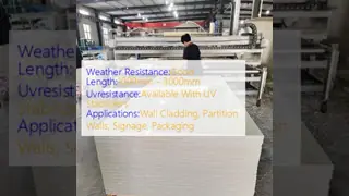 Temperature Resistance Up To 120°C PP Wall Sheet High Strength Plastic Panel In Multiple Lengths For Custom Wall Solutions