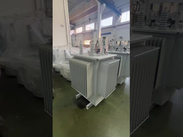 160kVA 20kV Oil-immersed Distribution Transformer S(B)13-NX3 Energy Efficiency Level 3