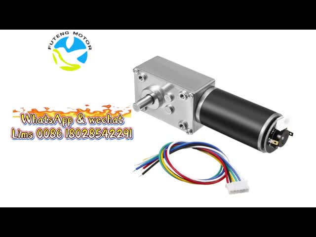 FT-58SGM31ZY  Slow Speed Big Torque Worm Gear Motor With Hall Encoder for Lawn Mower