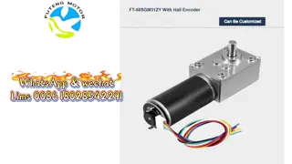 FT-58SGM31ZY  Slow Speed Big Torque Worm Gear Motor With Hall Encoder for Lawn Mower