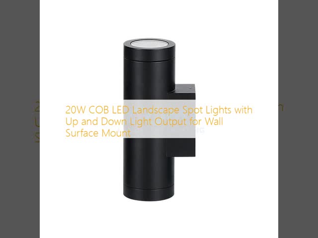20W COB LED Landscape Spot Lights with Up and Down Light Output for Wall Surface Mount