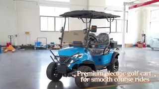 Hot Sell Low Speed New Energy 2 Seater Golf Cart with 48V 150Ah Lithium Battery
