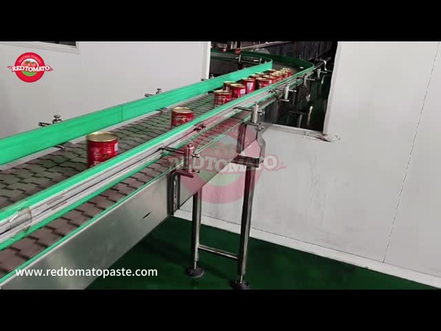 Gransadon 400g Canned Tomato Paste (Brix 24%-26%) – OEM Supported With Custom Packaging Design