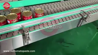 Gransadon 400g Canned Tomato Paste (Brix 24%-26%) – OEM Supported With Custom Packaging Design